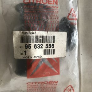 95632556 Tubo depósito esguicho Citroen AX