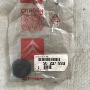 95237836 Porca fixar vidro traz Citroen AX