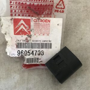 96054733 Protetor gancho capot Citroen ZX