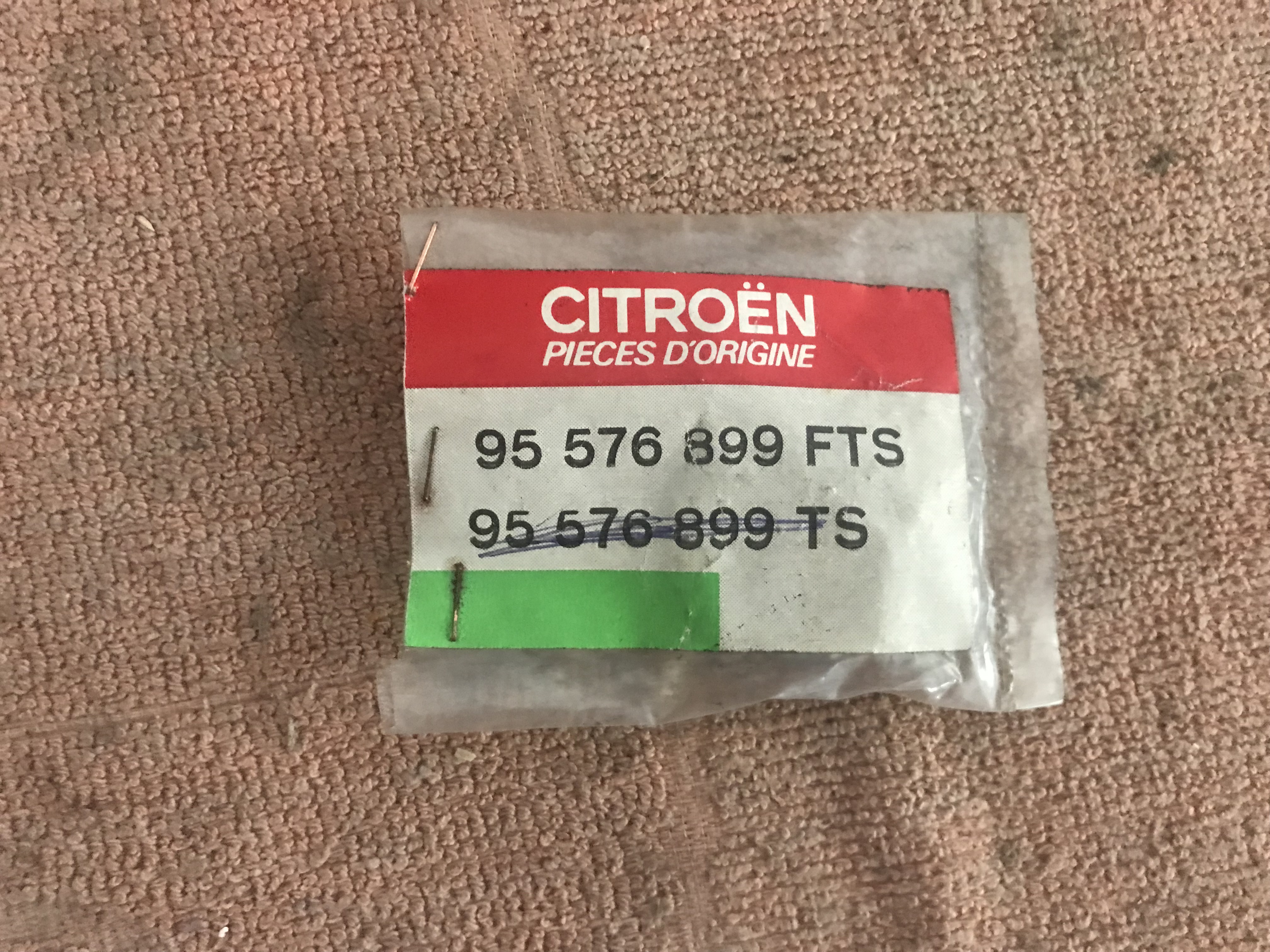 95576899TS Obturador tejadilho Citroen BX