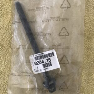 020475 Parafuso cabeça Citroen XM II