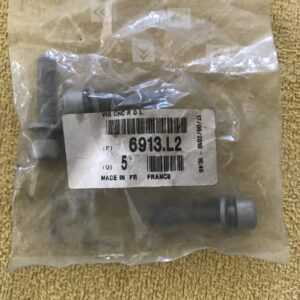 6913L2 Parafuso Citroen / Peugeot