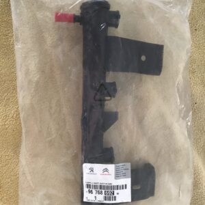 9676869280 Rampa alimentação injeção Citroen C-Elysée