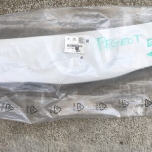 1608231080 Friso grelha Peugeot Expert III