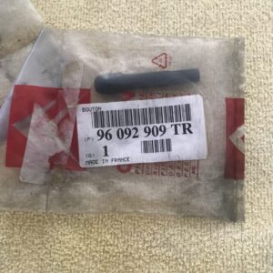 96092909TR Botão trancamento porta Citroen BX