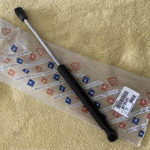 8731H1 Amortecedor tampa mala Citroen C3 Pluriel