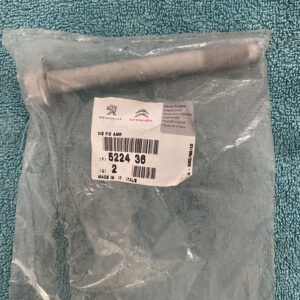 522436 Parafuso amortecedor traz Peugeot 206 / +