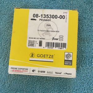 0640V9 GOE Jogo 3 segmentos STD Citroen / Peugeot 1.4 HDI